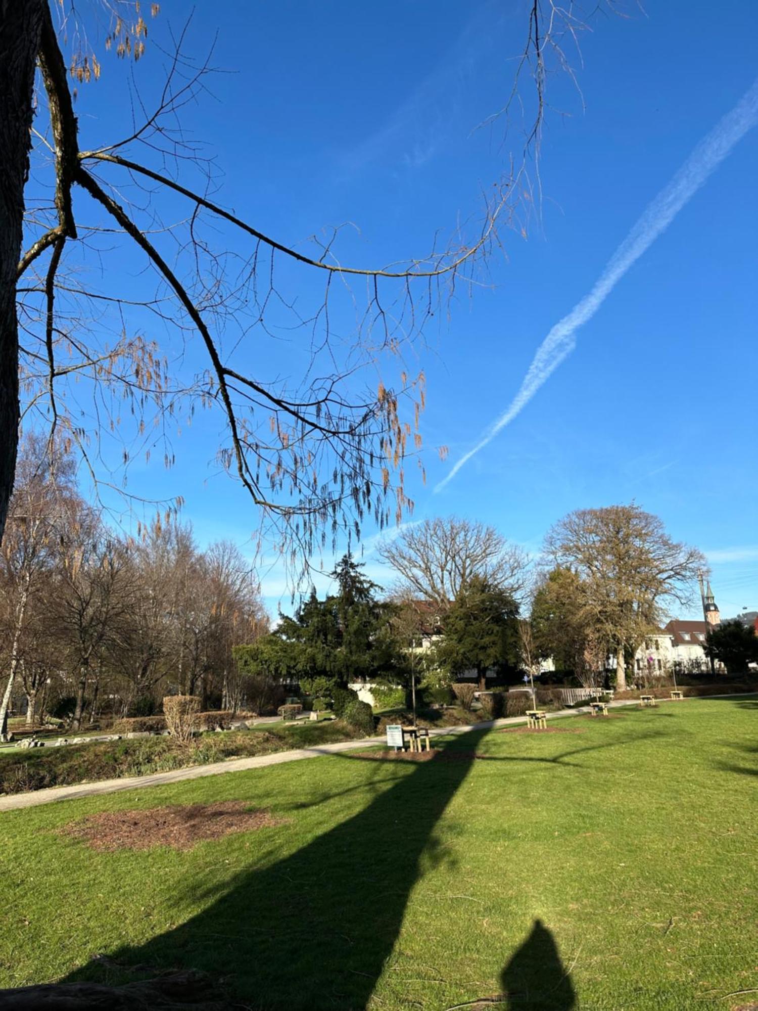 Fewo “Ruhige Momente” In Waldkirch Exterior foto