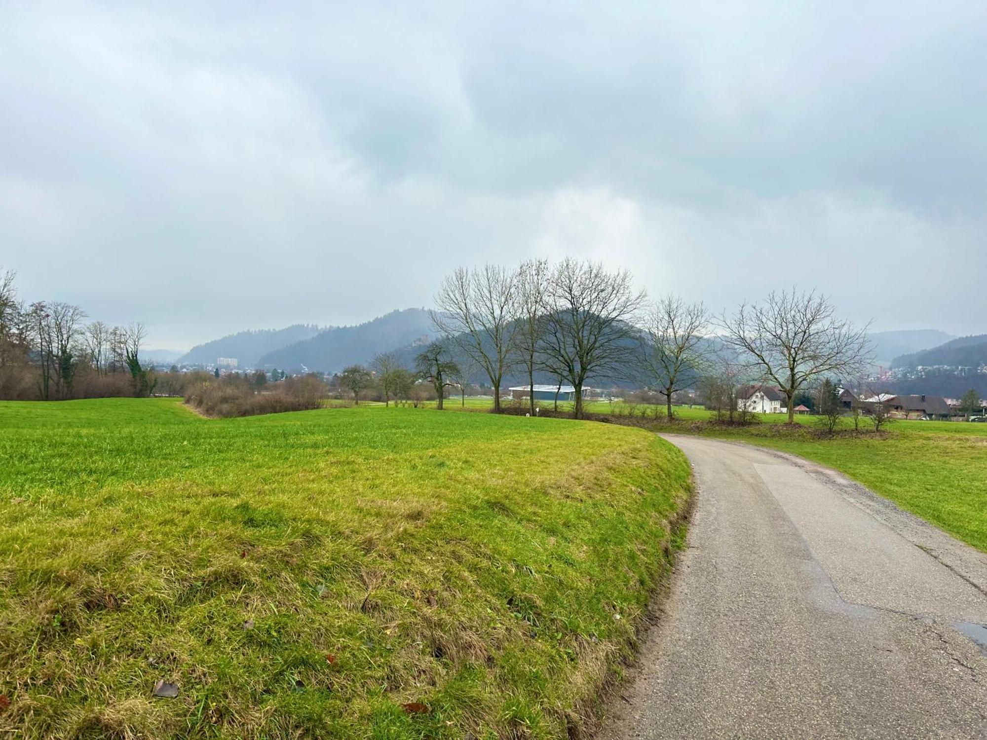 Fewo “Ruhige Momente” In Waldkirch Exterior foto